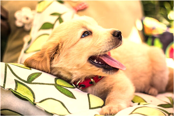 夢到了好友和她前男友分手好不好_周公解夢官網