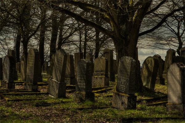 夢到掘墓會是什麼預兆_周公解夢