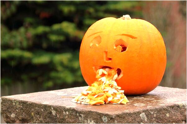 夢到朋友給我幾條是啥預兆_周公解夢官網