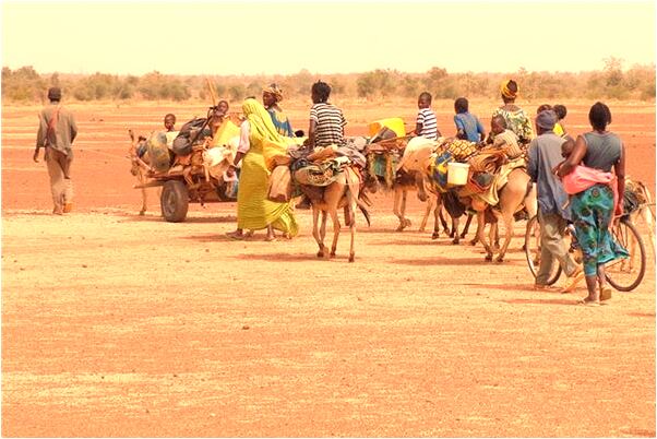 夢到了生病的大烏龜有什麼預兆_周公解夢官網