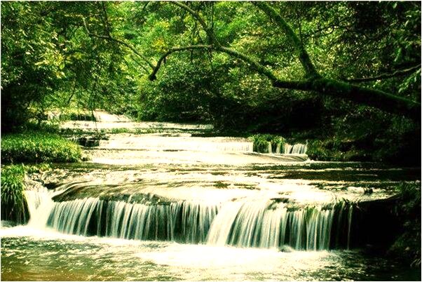 夢見天降大任有何寓意_周公解夢官網