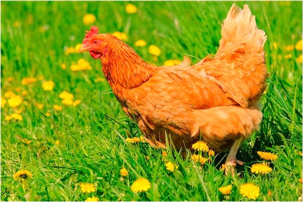 夢見我好傷心是啥預兆_周公解夢官網