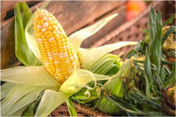 夢到了騎摩托下坡預兆了什麼嗎_周公解夢官網