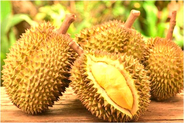 夢見被人追趕然後反追預示著什麼_周公解夢官網