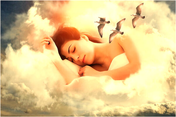 夢到別人捕很多大魚預示什麼_周公解夢官網