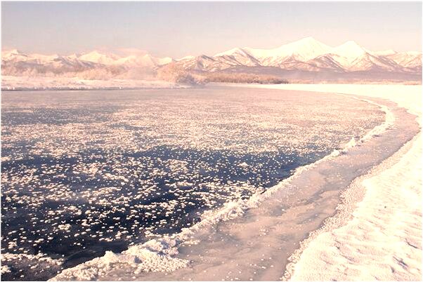 夢到了想見的人是國小的同學預示什麼_周公解夢官網