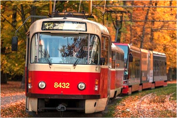 夢到了蛇吃吞小孩會是什麼預兆_周公解夢官網