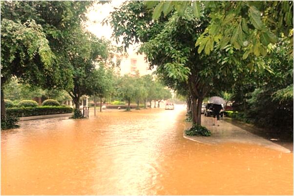 夢見摸魚被魚咬預示著什麼_周公解夢官網