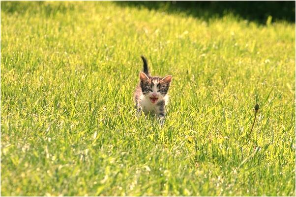 夢到自己和表妹用成人用品有什麼說法_周公解夢官網