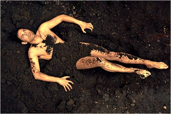 夢到了多條黑蛇在水裡未動怎么回事_周公解夢官網