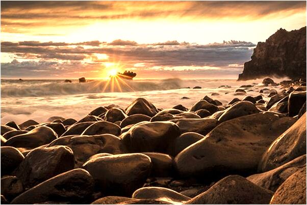 夢見大魚是災難是什麼意思_周公解夢官網