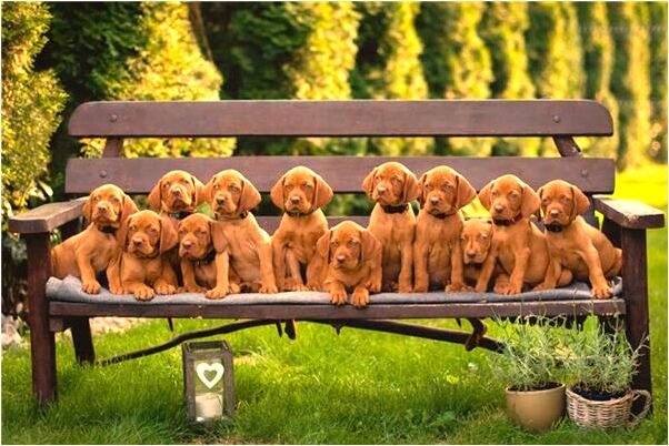 夢見被小女孩追著跑代表著什麼？_周公解夢官網