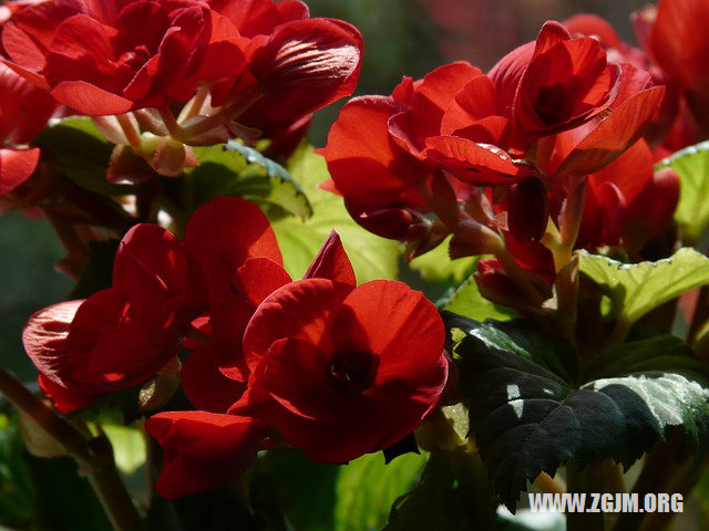 夢見跑台階很難爬_周公解夢夢到跑台階很難爬是什麼意思_做夢夢見跑台階很難爬好不好_周公解夢官網