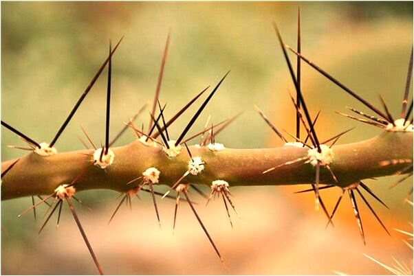 夢到了想見好多大肉好多人有什麼含義_周公解夢官網