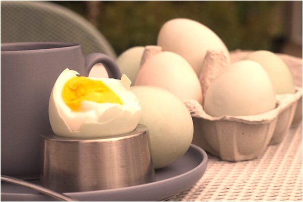 夢到用槍殺死警察意味著什麼_周公解夢官網