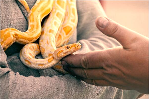 夢見娘家的親人什麼寓意_周公解夢官網