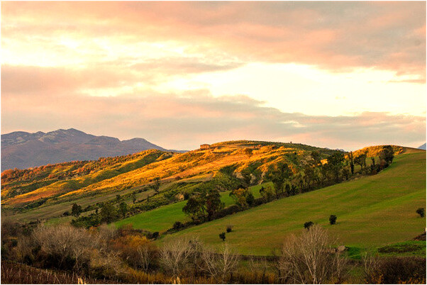 夢見摸叔叔小雞雞怎么回事_周公解夢官網