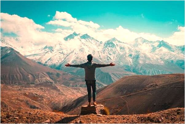 夢見很多野雞有何寓意_周公解夢官網