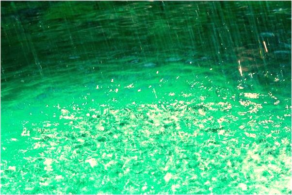 夢到和老頭吵架預示什麼_周公解夢官網