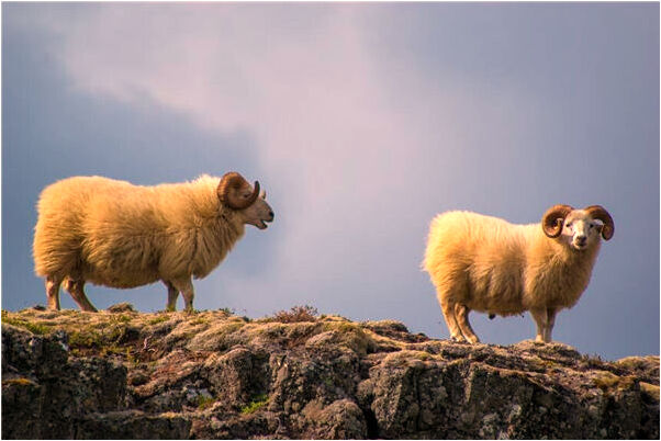 夢到了露屁股有什麼意義嗎_周公解夢官網