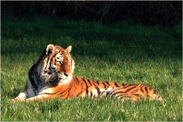 夢到了幾年不見的友人是什麼啟示_周公解夢官網