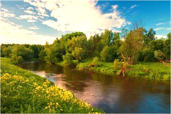 夢到母親幫自己擺平事端會怎么樣_周公解夢官網