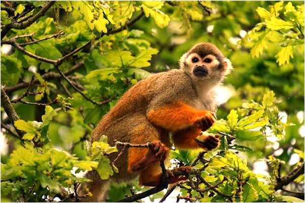 夢見房子上有霜怎么說_周公解夢官網