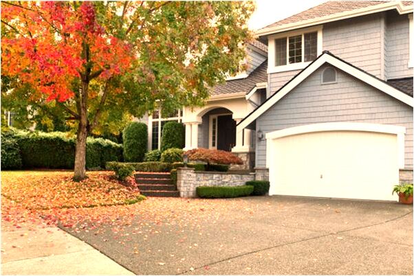 夢到了貓頭鷹咬我背是吉兆嗎?_周公解夢官網