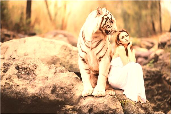 夢見工廠爆炸預示什麼_周公解夢官網