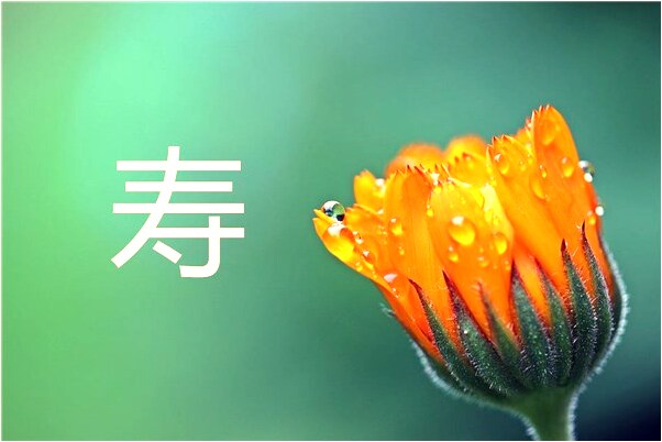 夢到老公挨車創腳流血了是吉兆嗎?_周公解夢官網