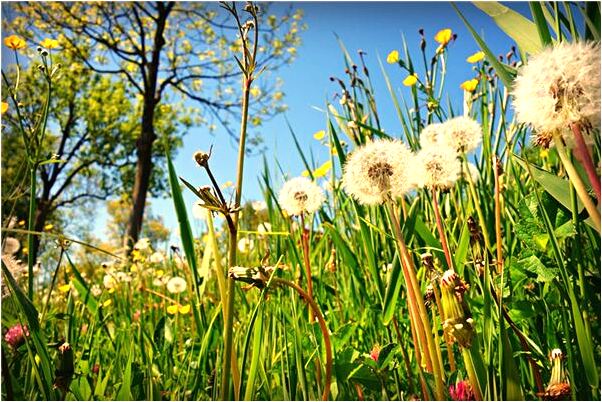 夢到了我工人摸我下身是什麼兆頭_周公解夢官網