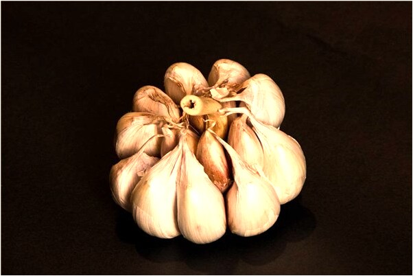 夢到了借錢不還人忘記借錢事是什麼啟示_周公解夢官網