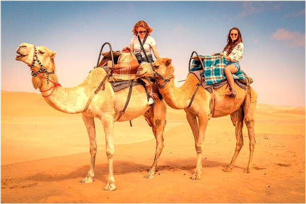 夢見吃仁杏幹啥意思_周公解夢官網