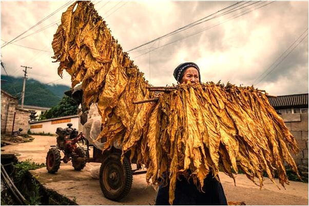 夢見兒子小時穿衣不好怎么回事_周公解夢官網