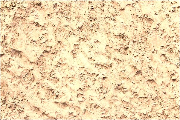 夢見我殺父親是什麼預兆_周公解夢官網