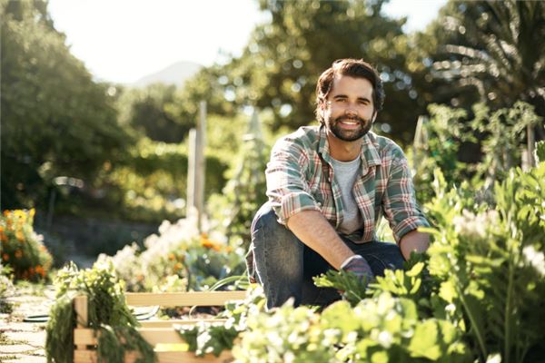 2020年屬雞男全年運勢_十二生肖