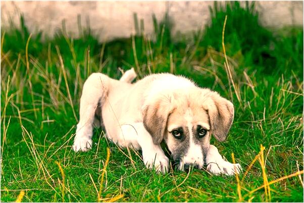 夢到了我家院子家裡全衣服讓我賣意味著什麼_周公解夢官網