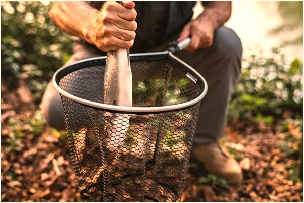 夢到有個動物咬著我不放有什麼意思_周公解夢官網