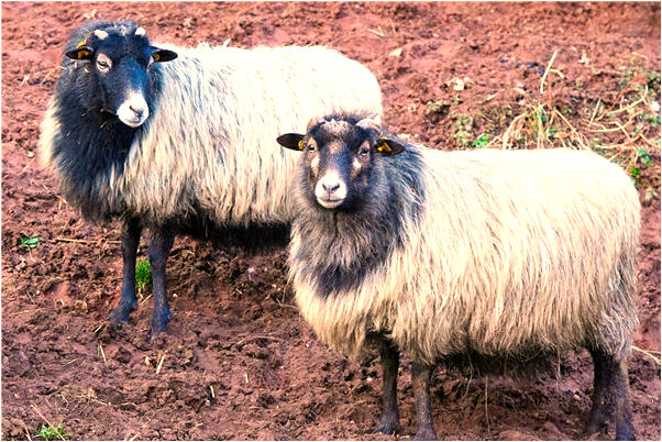 夢到了別人吃藥報銷藥費是什麼啟示_周公解夢官網