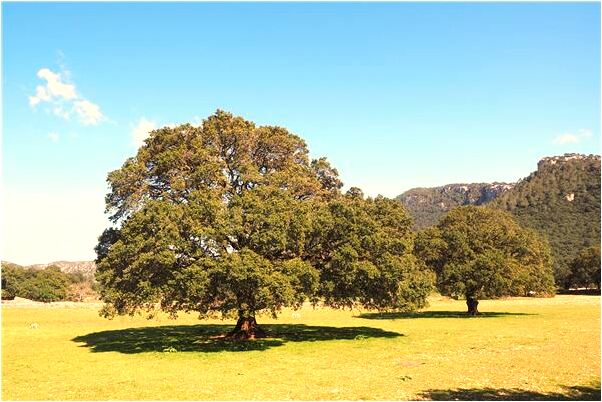 夢到我把老公的眼鏡挖了預示什麼_周公解夢官網