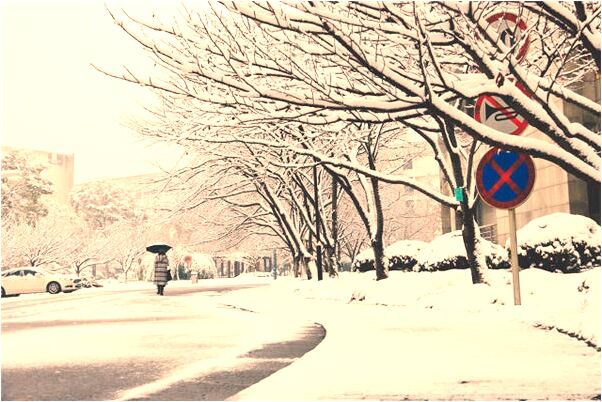 夢見座位車頂漏水下來會是什麼預兆_周公解夢官網