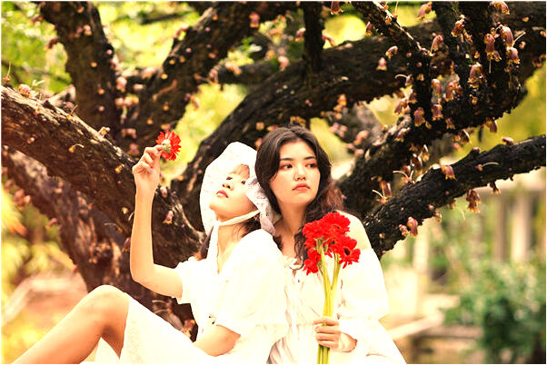 夢見走錯門戶有什麼預示嗎_周公解夢官網