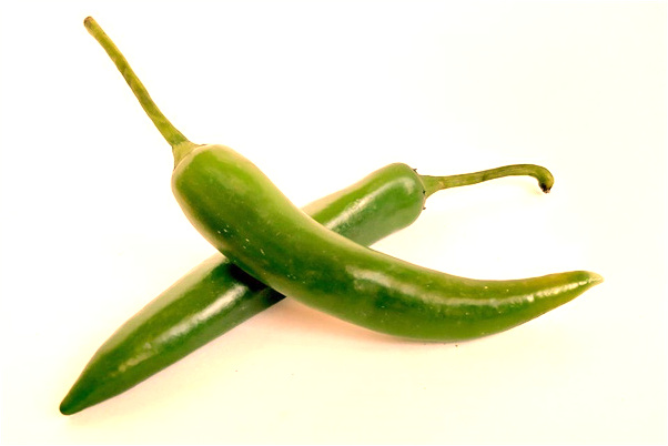 夢到了我把錢給別人保管預示著什麼_周公解夢官網