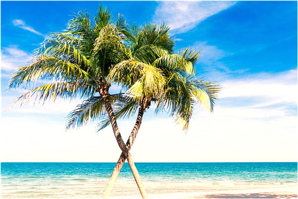 夢到了茅坑有血意味著什麼_周公解夢官網