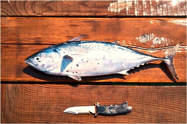 夢到玉手鐲預示什麼_周公解夢官網