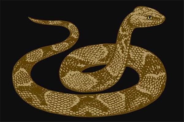 夢到追蛇啥意思_周公解夢