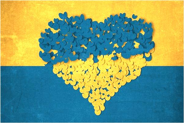 夢到了幾隻鷹抓幾隻牛是什麼預兆_周公解夢官網