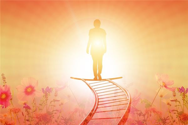 夢到了登梯預示著什麼_周公解夢