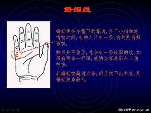 Palm fortune-telling graphic recognition and views of marriage line