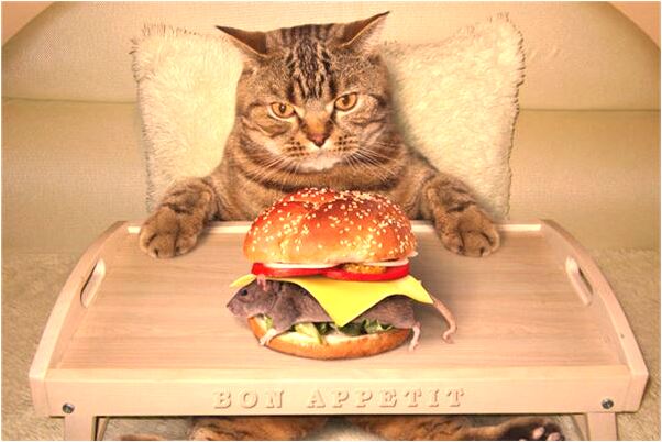 夢到像狗的人有什麼預示嗎_周公解夢官網